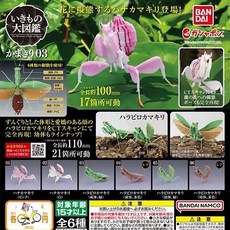  반다이 사마귀 피규어 생물 대도감 곤충 사마기가챠 난초사마귀 넓적배사마귀 생물대도감 미니어쳐 피규어, 01 남꽃가루사마귀, 가챠 