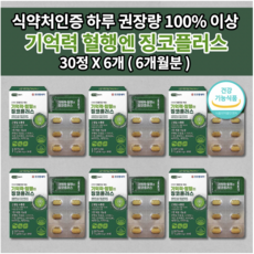 뇌기반심리치료