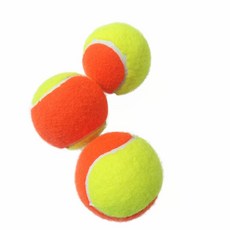 명랑운동회렌탈