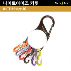 브래짜