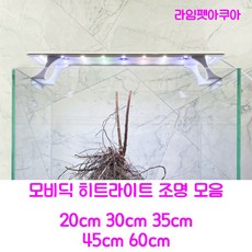 led1자등