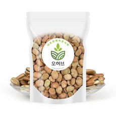 자이언트 파바빈 파바빈콩 1kg 잠두콩 누에콩, 1개