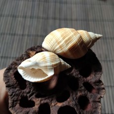 인천돌사진