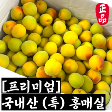 [산지직송] 국내산 황매실 5kg 10kg (특) / 홍매실 매실 메실 황매실5kg 황매실10kg 황매실5kg특 매실5kg 메실5kg 황매실5킬로 황매실오킬로 황매실5kg왕왕특, 1개