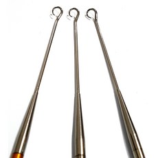 바늘빼기돌고래