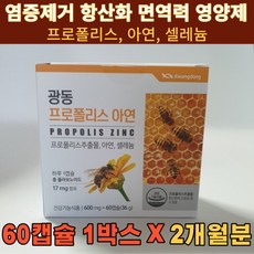 비염에좋은영양제
