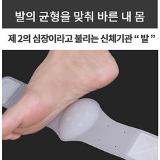 종자골염