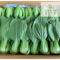 바르다야채 아삭 국내산 청경채, 1개, 4kg