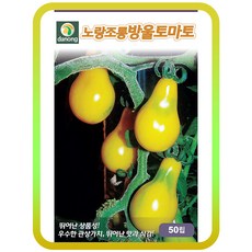 노랑조롱방울토마토씨앗 50립, 1개