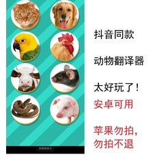 강아지말번역기