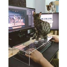 고양이 차단 키보드 커버 덮개 강아지 반려동물 재택근무 접근 방지 아크릴 보관 먼지 인스타, 투명
