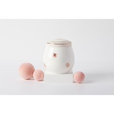 지랄나비