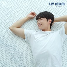 리브맘냉감패드