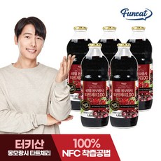 퍼니트 리얼 몽모랑시 타트체리100%, 1L, 6개