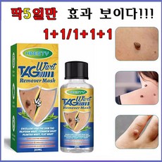 [당일발출] 1+1...