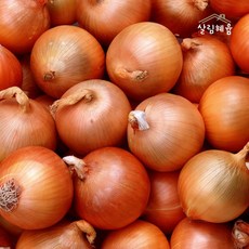 [살림혜윰] 국내산 신선한 햇 양파, 1박스, 특 5kg (개당 150~200g)