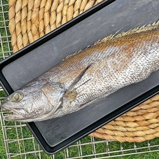 국내산 특대 반건조 민어 5미, 상세 설명 참조