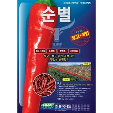 순별고추 고추종자 1200립 흥국시드 고추씨앗 +전용칼슘세트, 10g, 1세트
