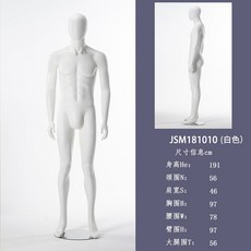 디자이너 지하상가 미대 동대문 부산 모델용 마네킹 웨딩홀 마네킹 동대문 구입 제우스 아프로디테 골프 철사속옷 가게 모델 선반 전시대 남자 쇼윈도우 소품 웨딩숍 전신 모형 인체, 옵션17, 단일옵션