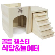 용인골든햄스터