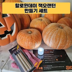 [할로윈데이 소품] 할로윈호박 만들기 세트 잭오랜턴키트 호박카빙셋트, 1개