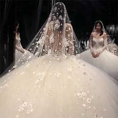 레이스롱베일