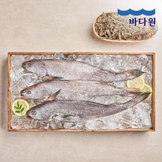 바다원 [바다원] 생선명가 국내산 내장손질 반건조 민어 3팩 840g