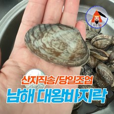 [황장군] 남해 대왕 활바지락 국산 바지락 1kg 3kg 5kg