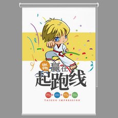 태권도블라인드