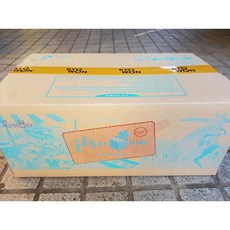 솔루토이지리