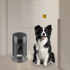 디클펫트리와이파이