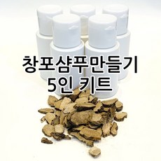 [더위치] 더위치 DIY 창포 액체샴푸만들기 키트 5인용 과학실험키트