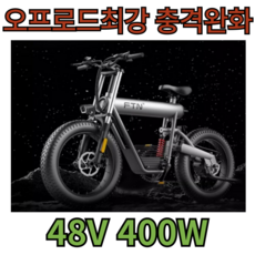 Rush FTN 오프로드 자토바이 전동 전기자전거 전기스쿠터 48V 400W, 럭셔리48V/20AH/200km