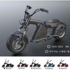 [이라운드몰]M8왕발통전기스쿠터 할리 시티코코 최고사양60V3000W30Ah, M8유광블루60V3000W30Ah, 옵션선택