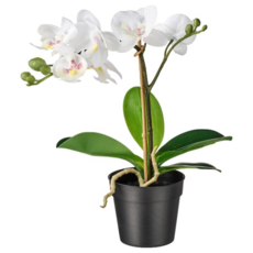 이케아 FEJKA 페이카 인조식물 난초 화이트 9 cm 802.949.37