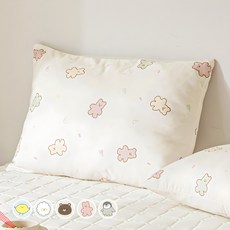 The Zari 我一直在找的枕頭套 2入