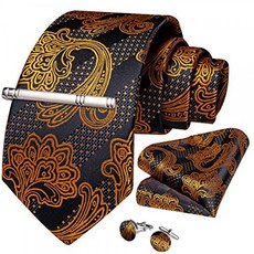 DiBanGu Paisley Tie and Pocket Square Men's Woven Necktie Silk Handkerchief and