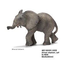 슐라이히코끼리