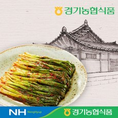 한국농협김치 청산 파김치3kg, 1개, 3kg