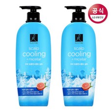 LG생활건강 엘라스틴 두피 딥클린+쿨링 샴푸 680mlx2개, 2개, 680ml