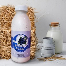 [임실산들치즈] NEW/ 산에핀들 블루베리 요구르트450ml, 450ml