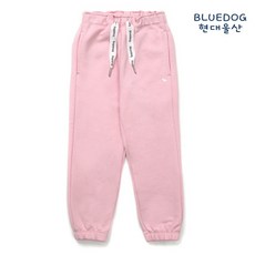 블루독수영가방