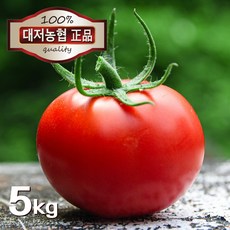 맛있는 대저 완숙 토마토(tomato) 특품 5kg