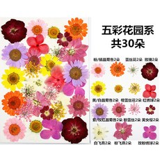 d9e37927582417a031cd798abf2cd2c7b9df52ae8c791401fc45fde78b18.jpg