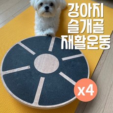  스몰티즈 강아지 짐볼 밸런스보드, 4개 