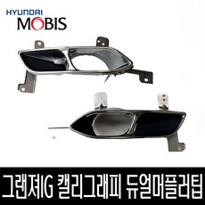 그랜저ig머플러팁