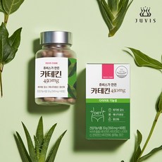 쥬비스가 만든 카테킨 450mg 다이어트 효능 항산화 녹차