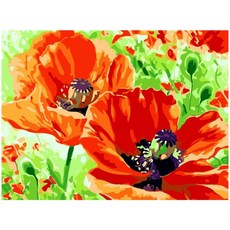 그림그리기좋은날다육식물