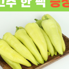 포천당일바베큐