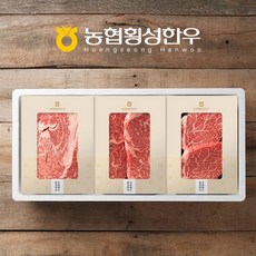 [냉장/1+][농협횡성한우]실속 구이정육혼합1호 (등심/불고기/국거리) / 1.2kg / 고급부직포, 1개